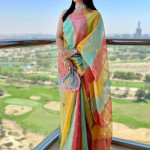 Peach-Coloured & Blue Ethnic Motifs Organza Saree